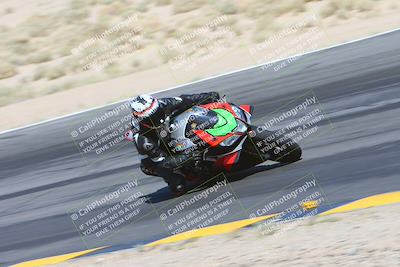 media/May-12-2024-SoCal Trackdays (Sun) [[ad755dc1f9]]/8-Turn 12 Inside (935am)/